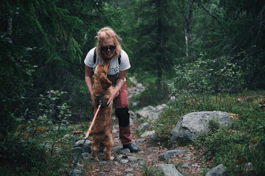 dog following a scent trail