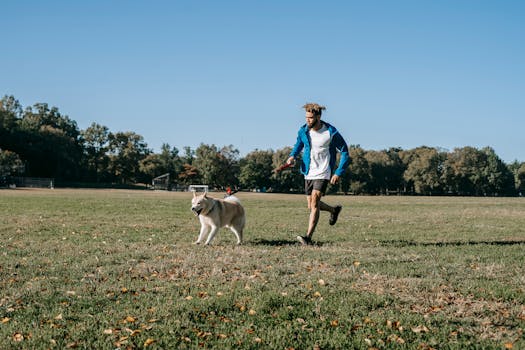 dog training progress journal