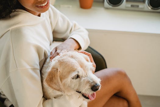 happy hunting dog with owner